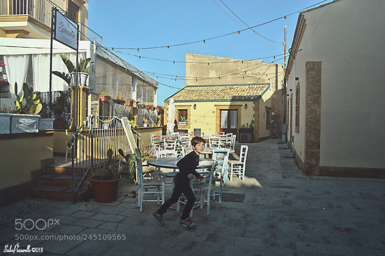 Nikon D5200 sample photo. A winter sunny day photography