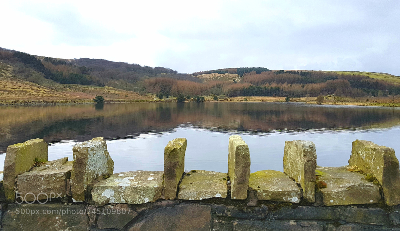 Samsung Galaxy S7 sample photo. A winter walk photography
