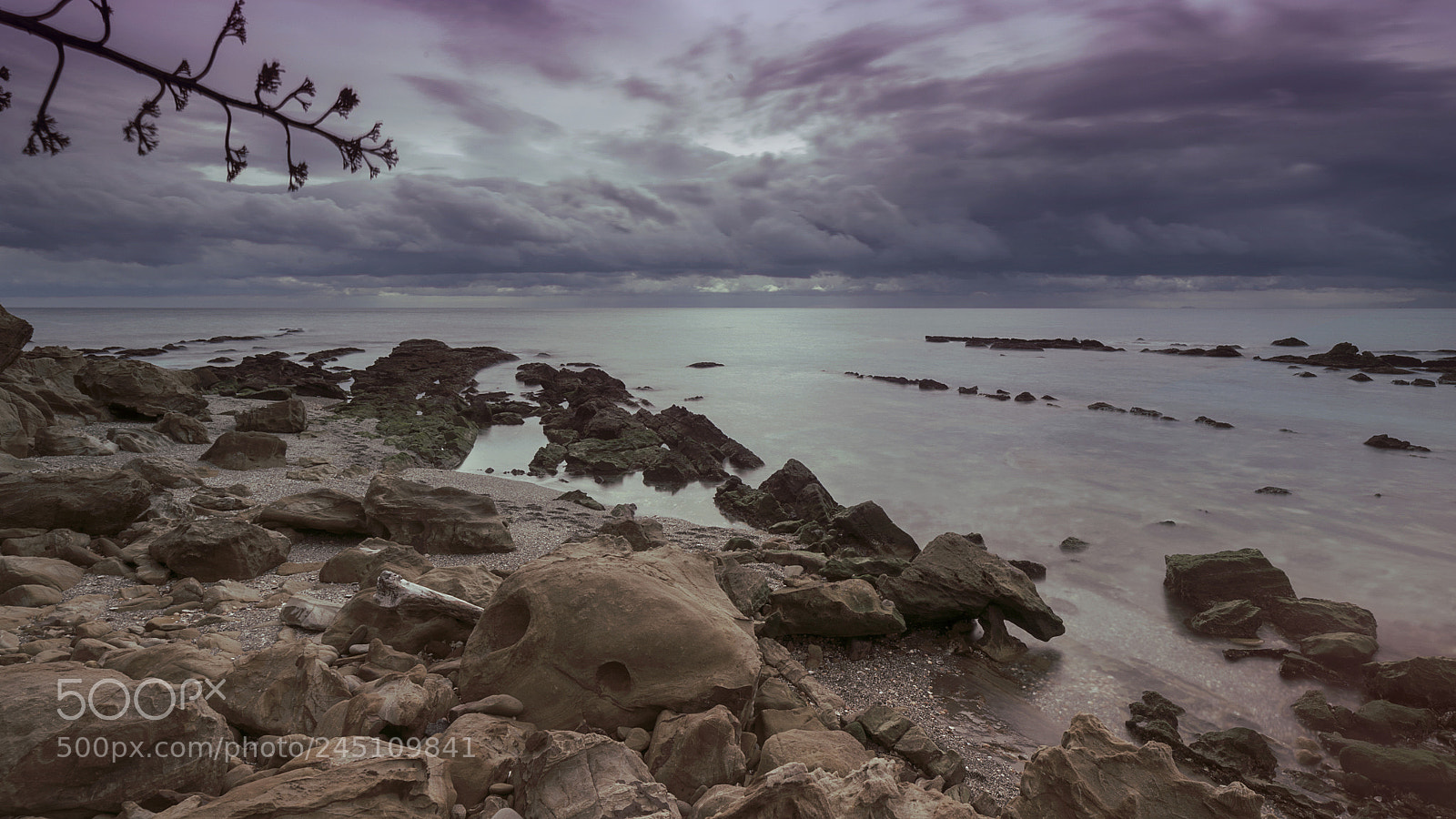 Nikon D610 sample photo. Febrero photography
