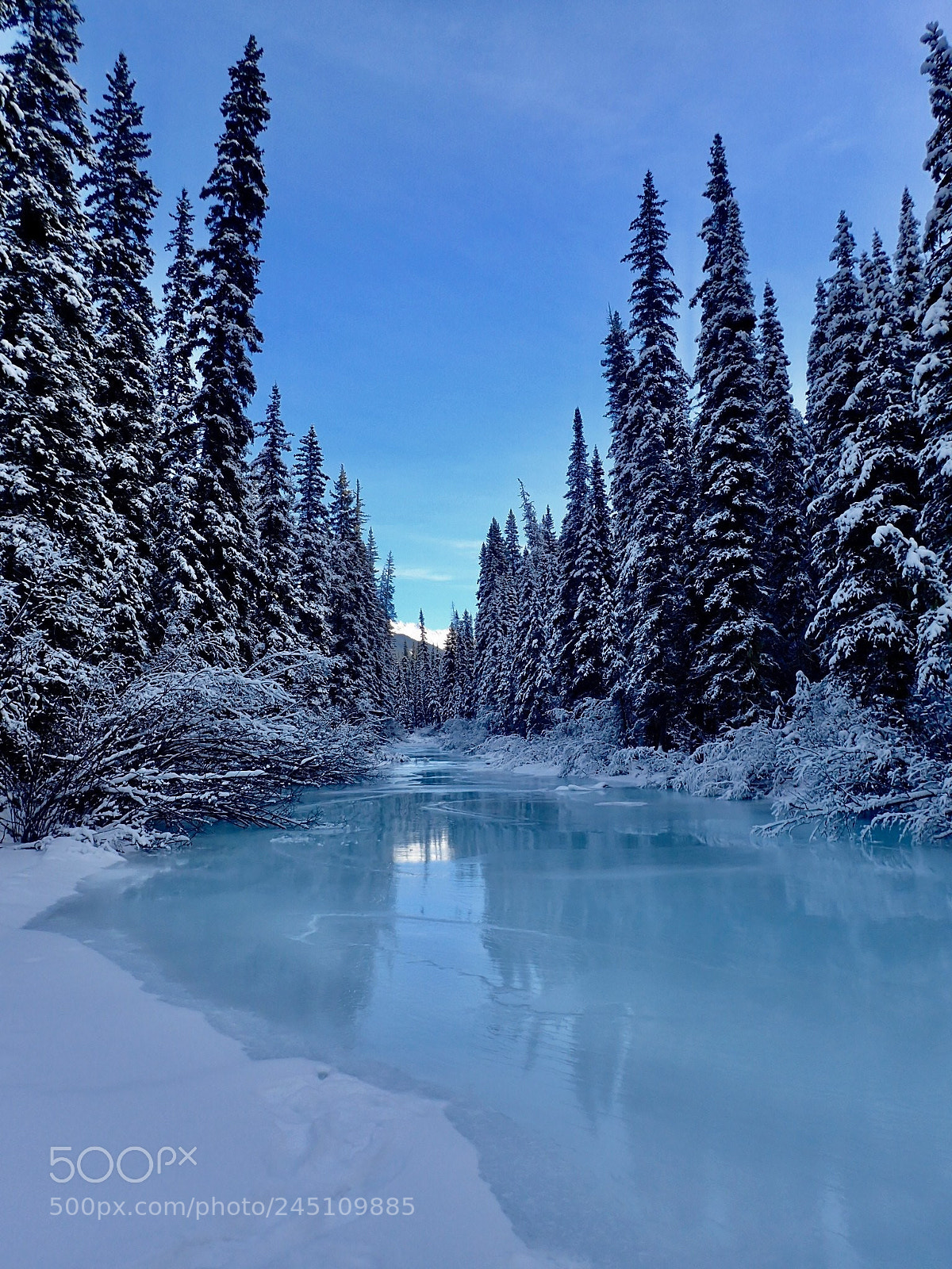 Olympus TG-4 sample photo. Beautiful afternoon in jasper. photography