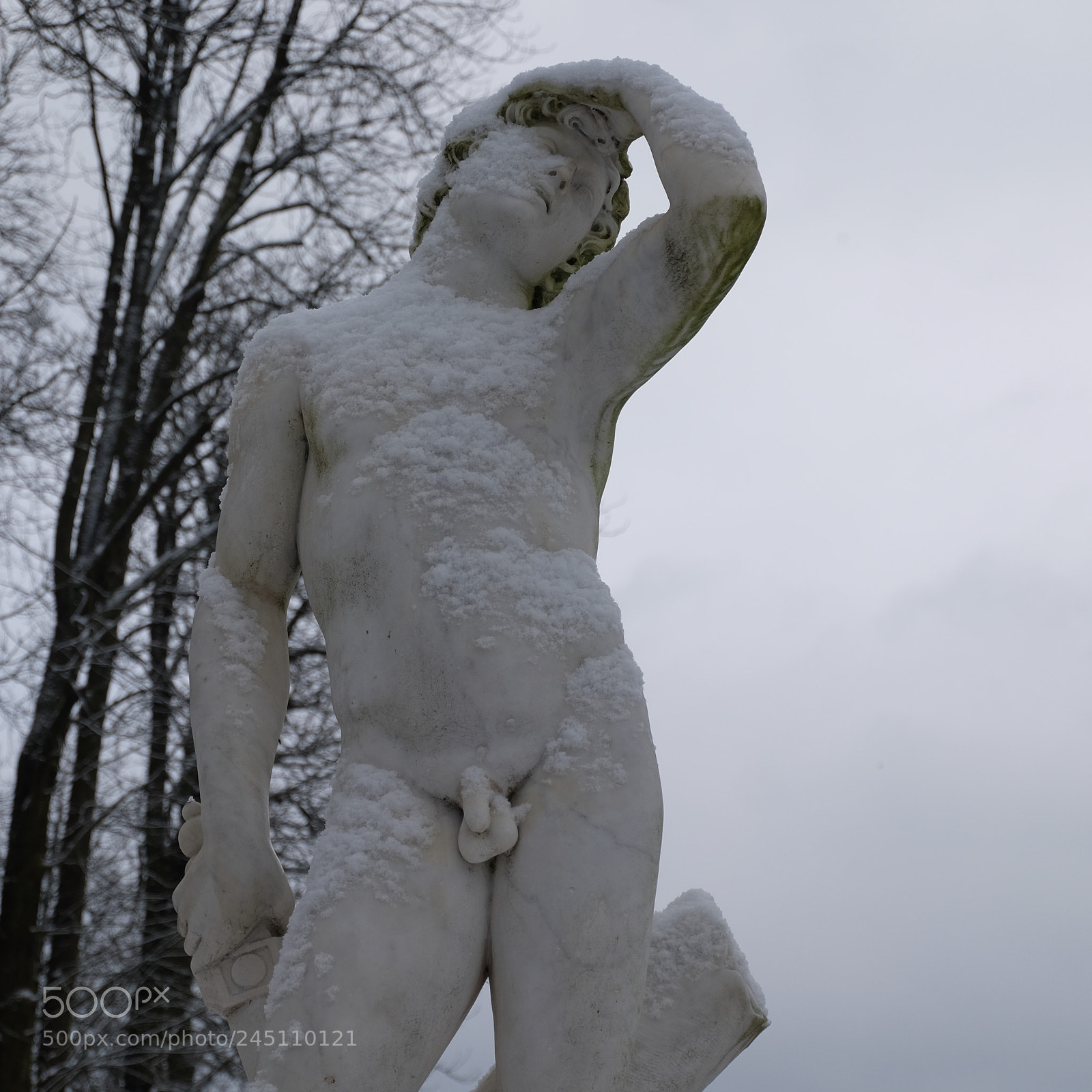 Fujifilm X-T10 sample photo. The young injured warrior photography
