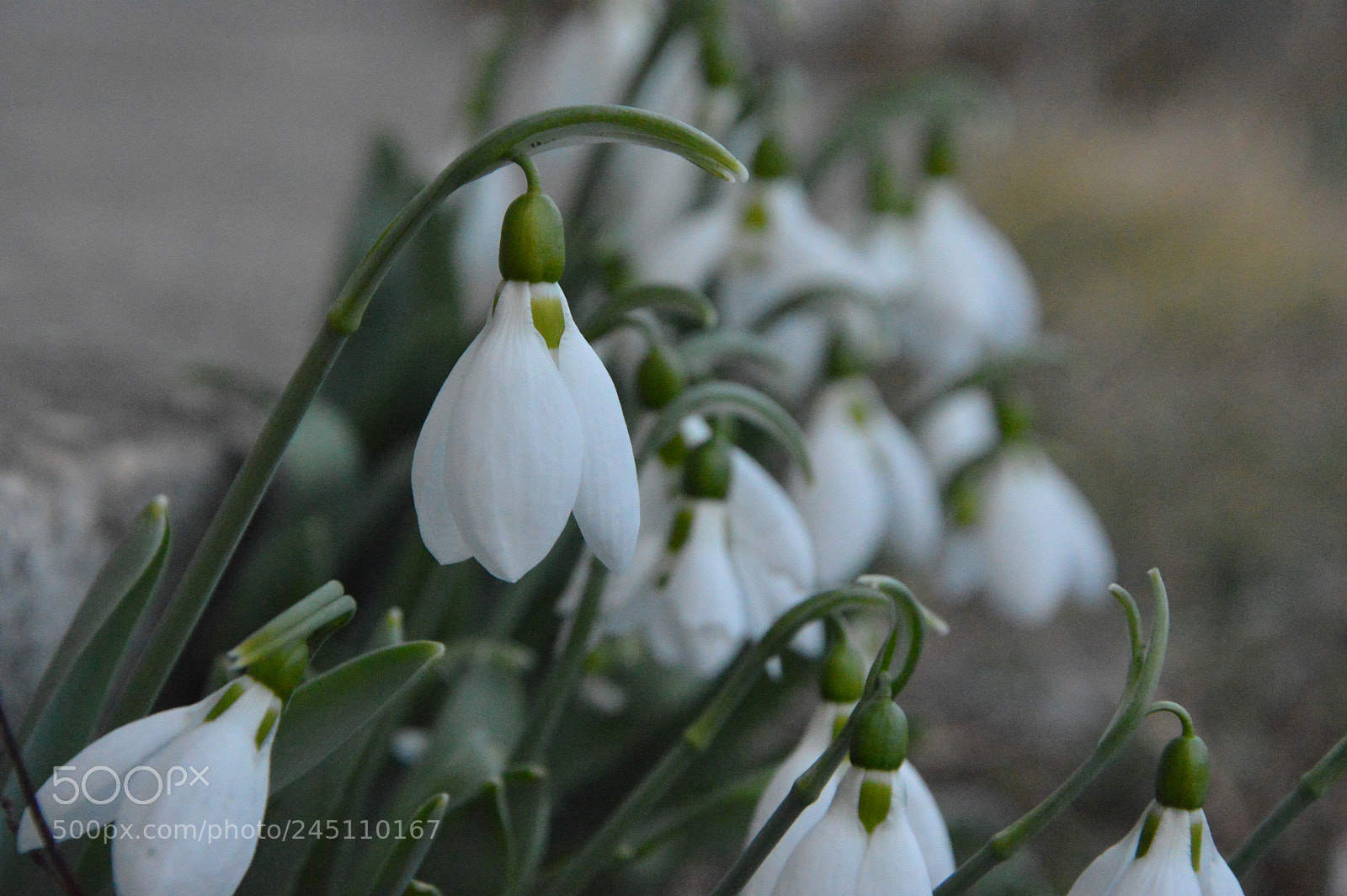 Nikon D3200 sample photo. Untitled photography