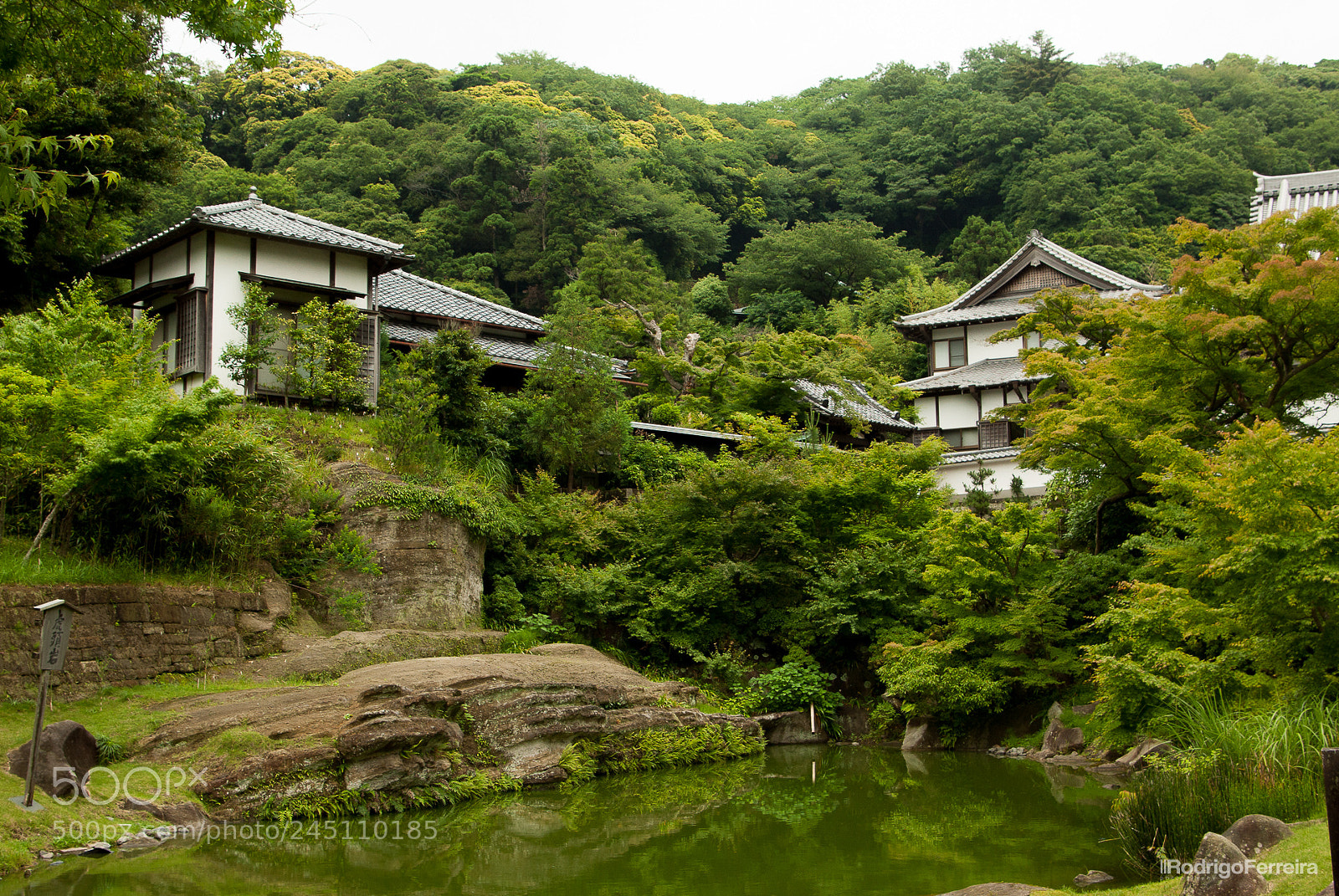 Pentax K200D sample photo. Japan photography