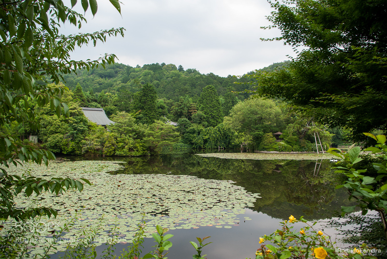 Pentax K200D sample photo. Japan photography