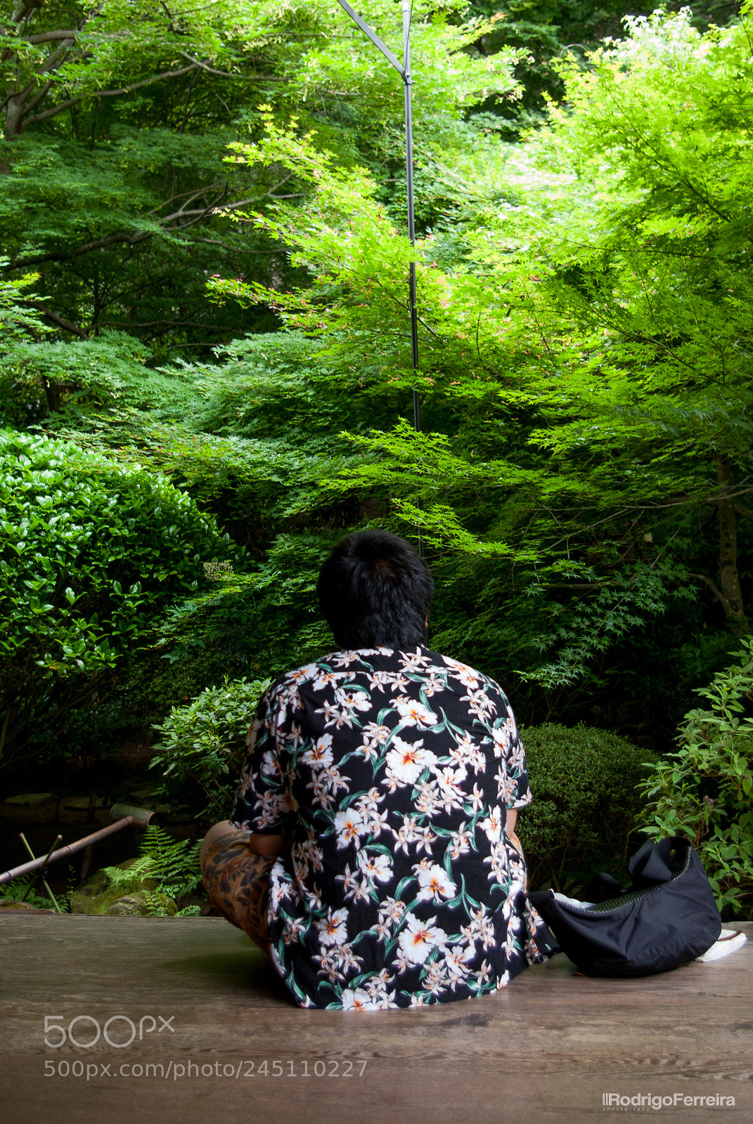 Pentax K200D sample photo. Japan photography