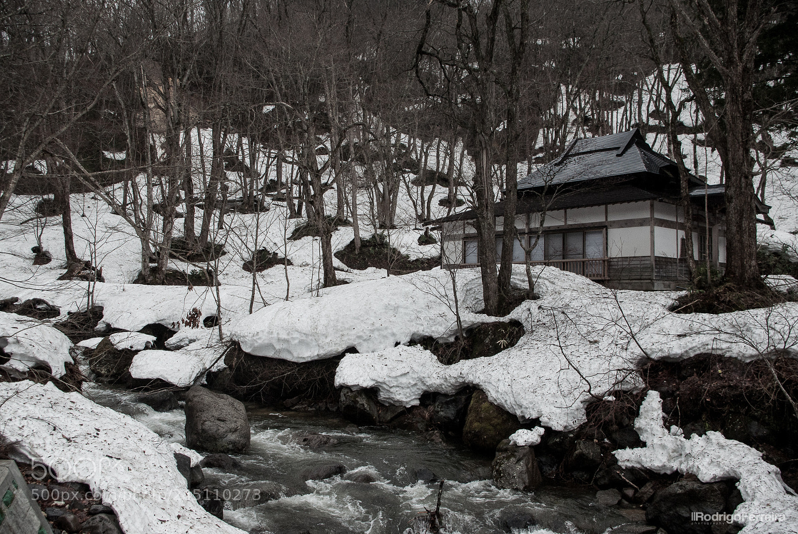 Pentax K200D sample photo. Japan photography