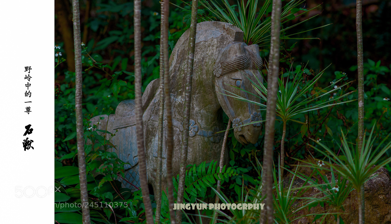 Nikon D810 sample photo. Untitled photography