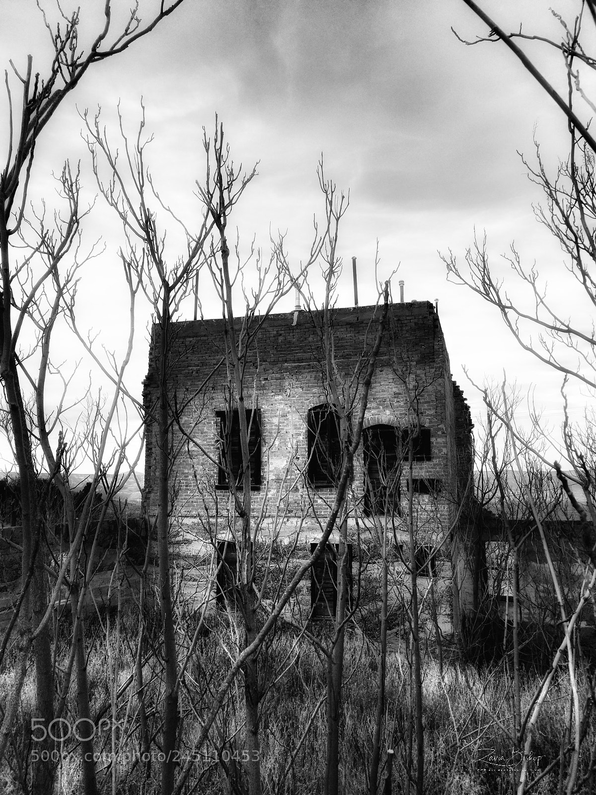 Samsung Galaxy S8+ sample photo. Haunted house photography