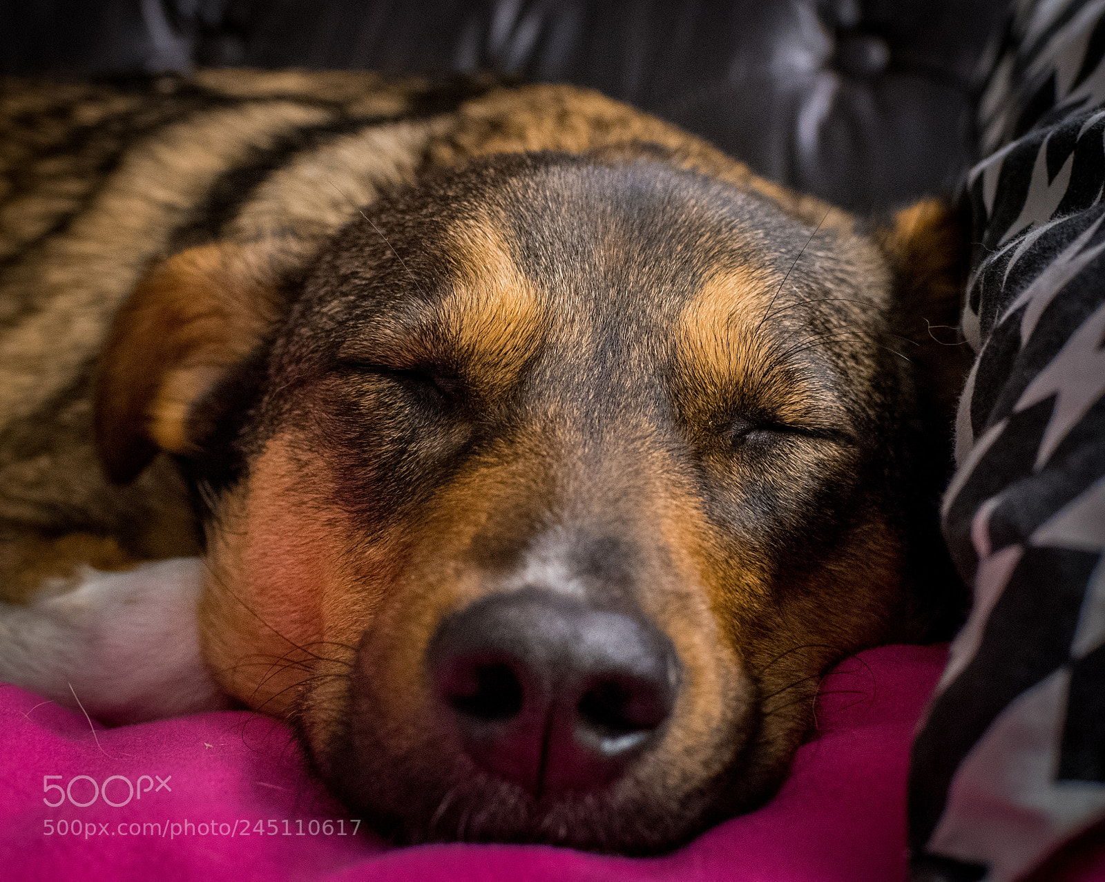 Nikon D500 sample photo. Ich bin so m photography