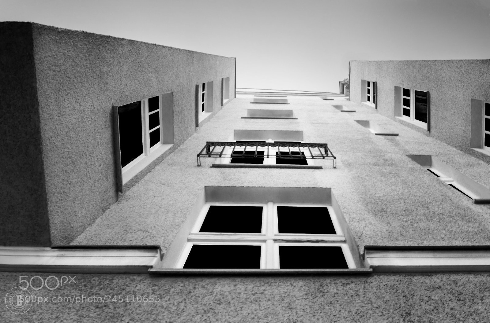 Sony Alpha DSLR-A380 sample photo. Upwards photography