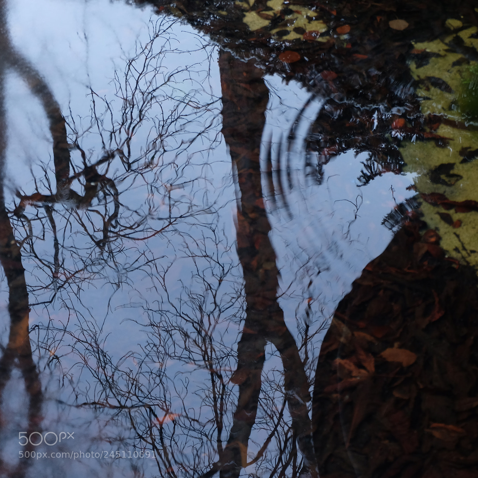Fujifilm X-T10 sample photo. Reflections on the water photography