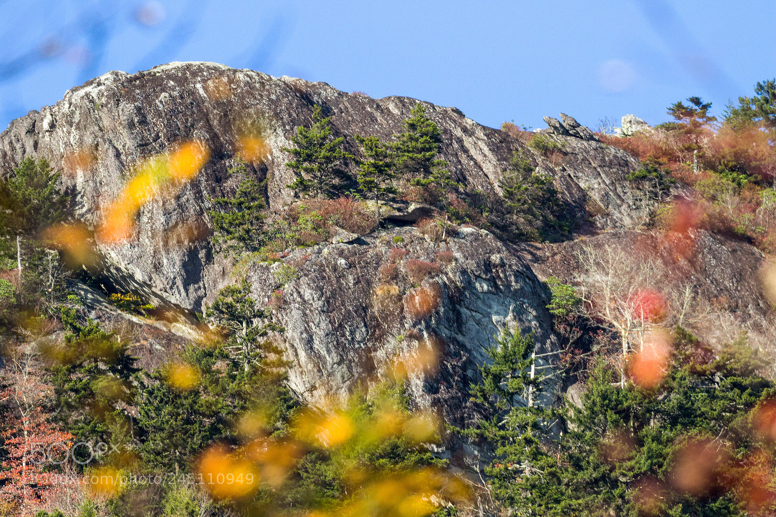 Canon EOS 7D Mark II sample photo. Blue ridge parkway photography