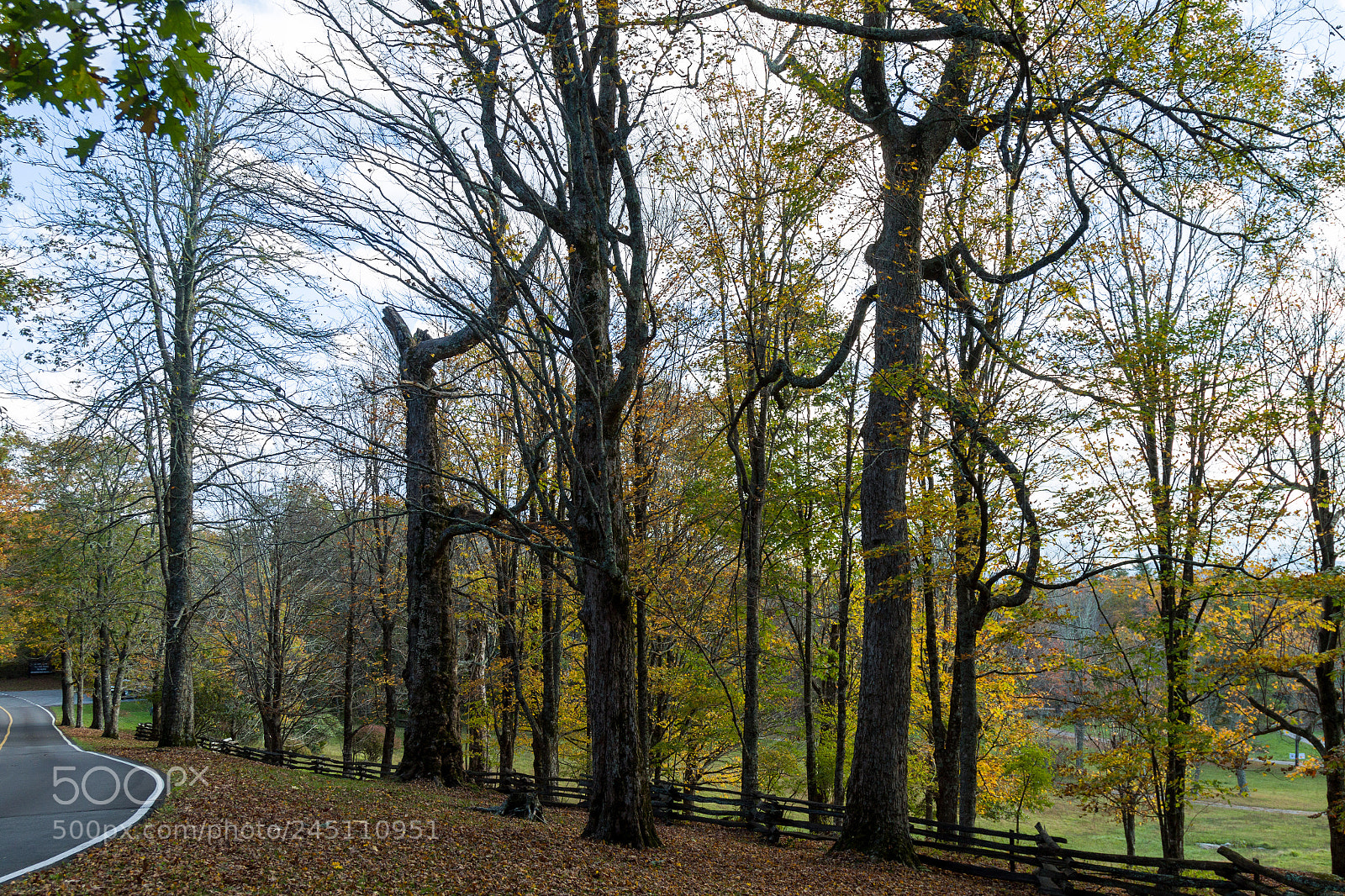Canon EOS 7D Mark II sample photo. Grandfather mountain photography
