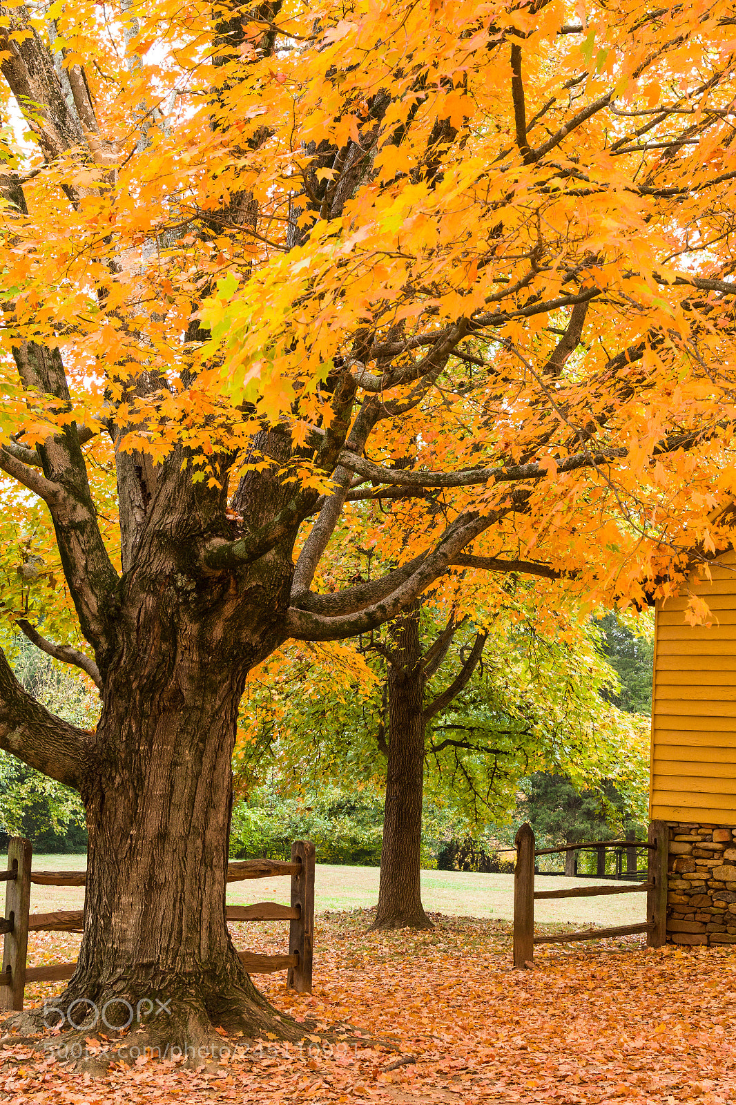 Canon EOS 7D Mark II sample photo. Old salem fall photography