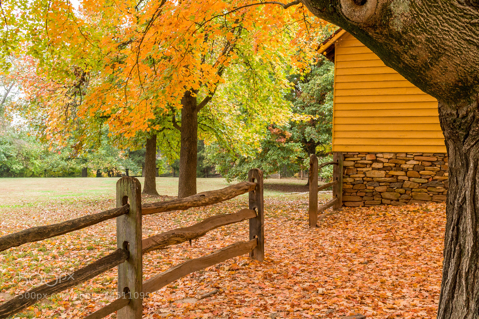Canon EOS 7D Mark II sample photo. Old salem fall photography