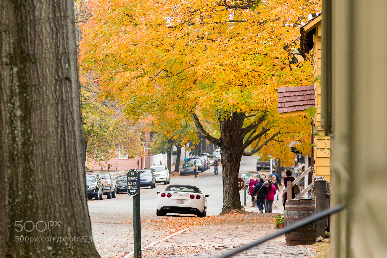 Canon EOS 7D Mark II sample photo. Old salem photography