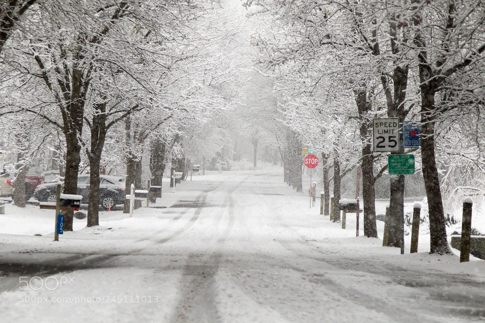 Canon EOS 7D Mark II sample photo. Snow photography