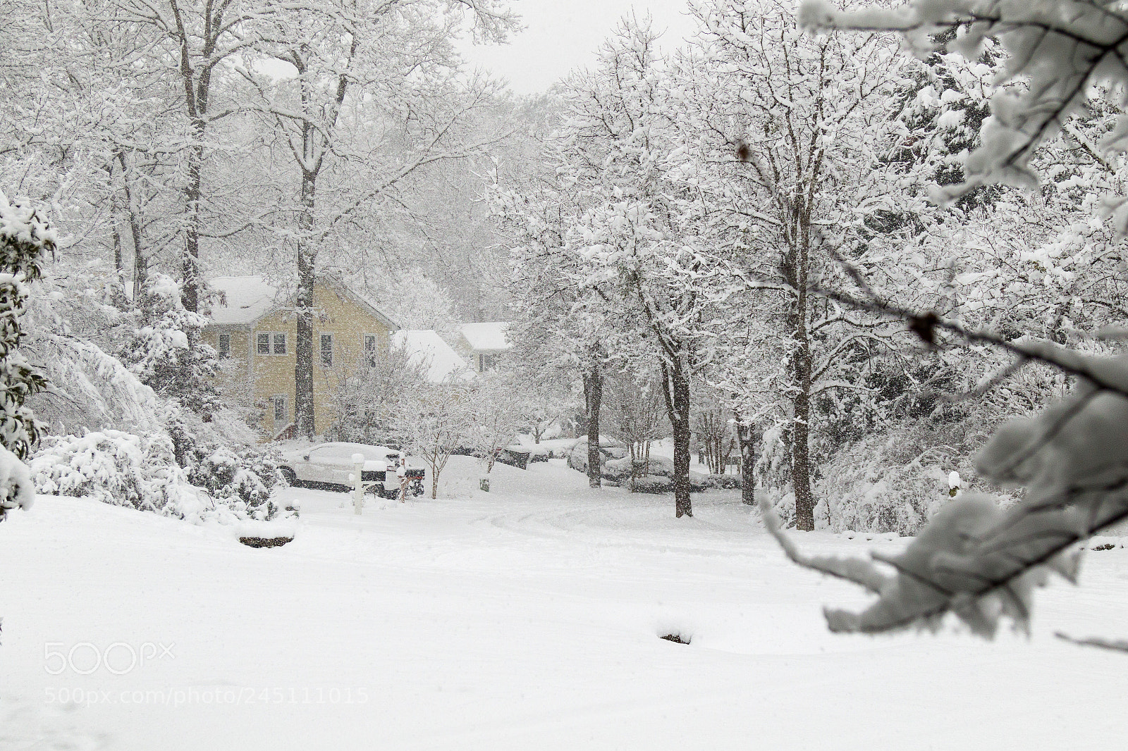 Canon EOS 7D Mark II sample photo. Snow photography