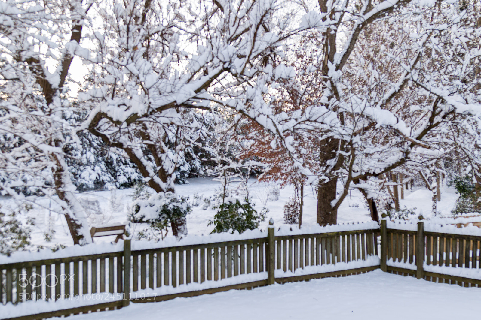 Canon EOS 7D Mark II sample photo. Snow photography