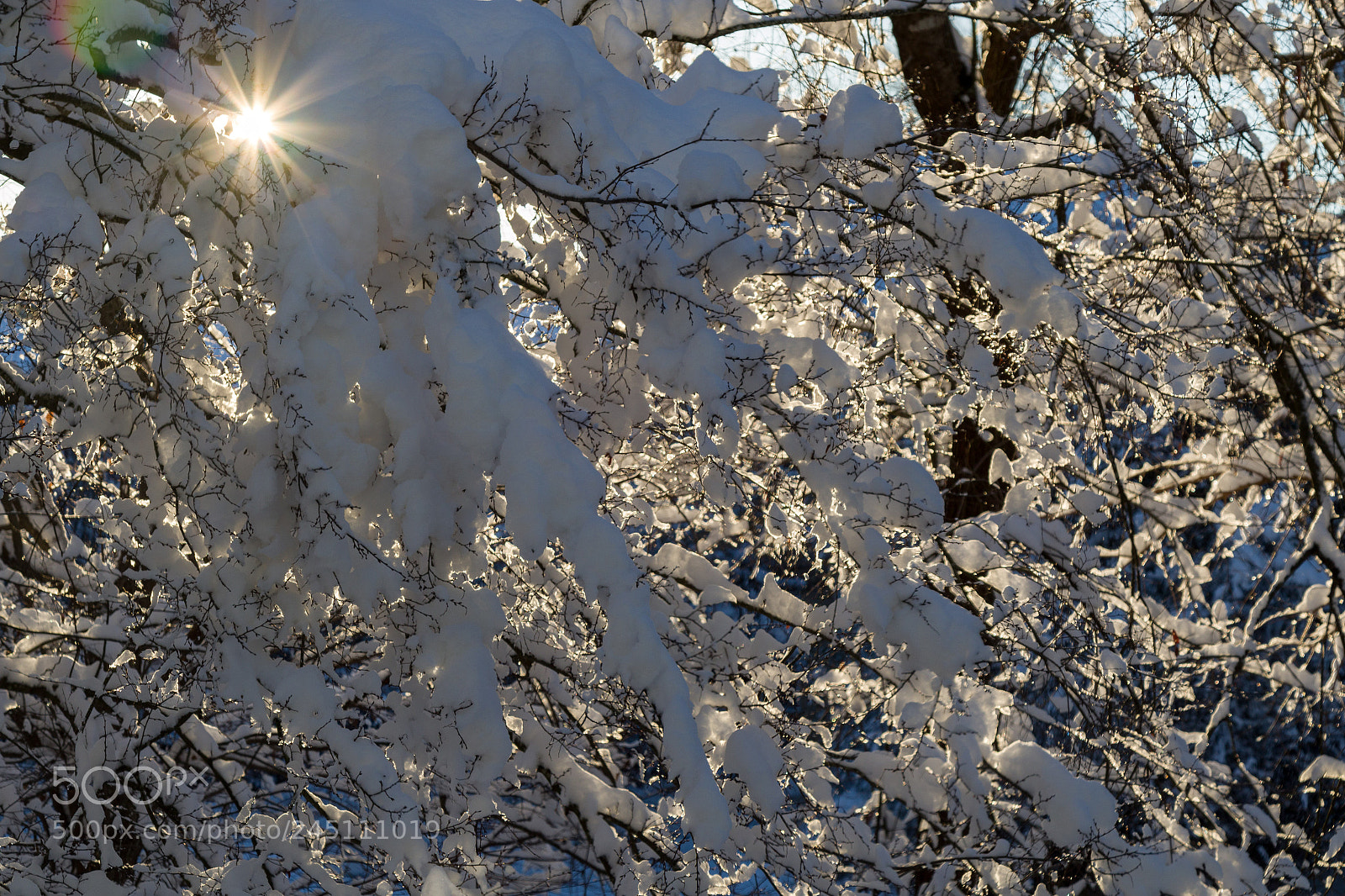Canon EOS 7D Mark II sample photo. Snow photography