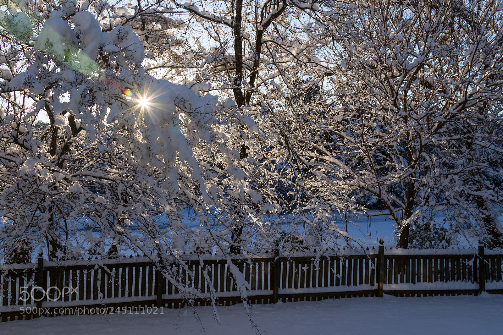 Canon EOS 7D Mark II sample photo. Snow photography