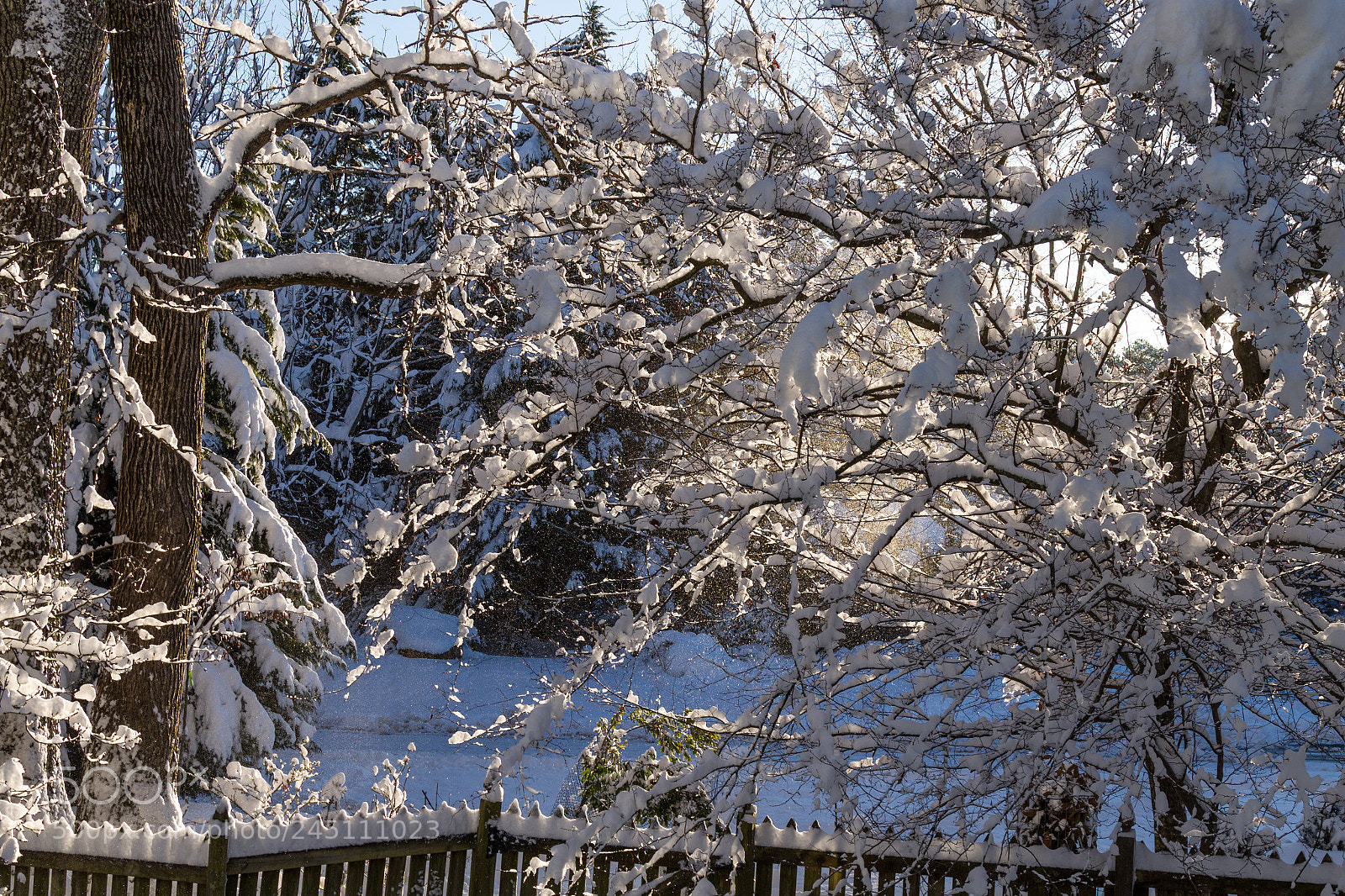 Canon EOS 7D Mark II sample photo. Snow photography