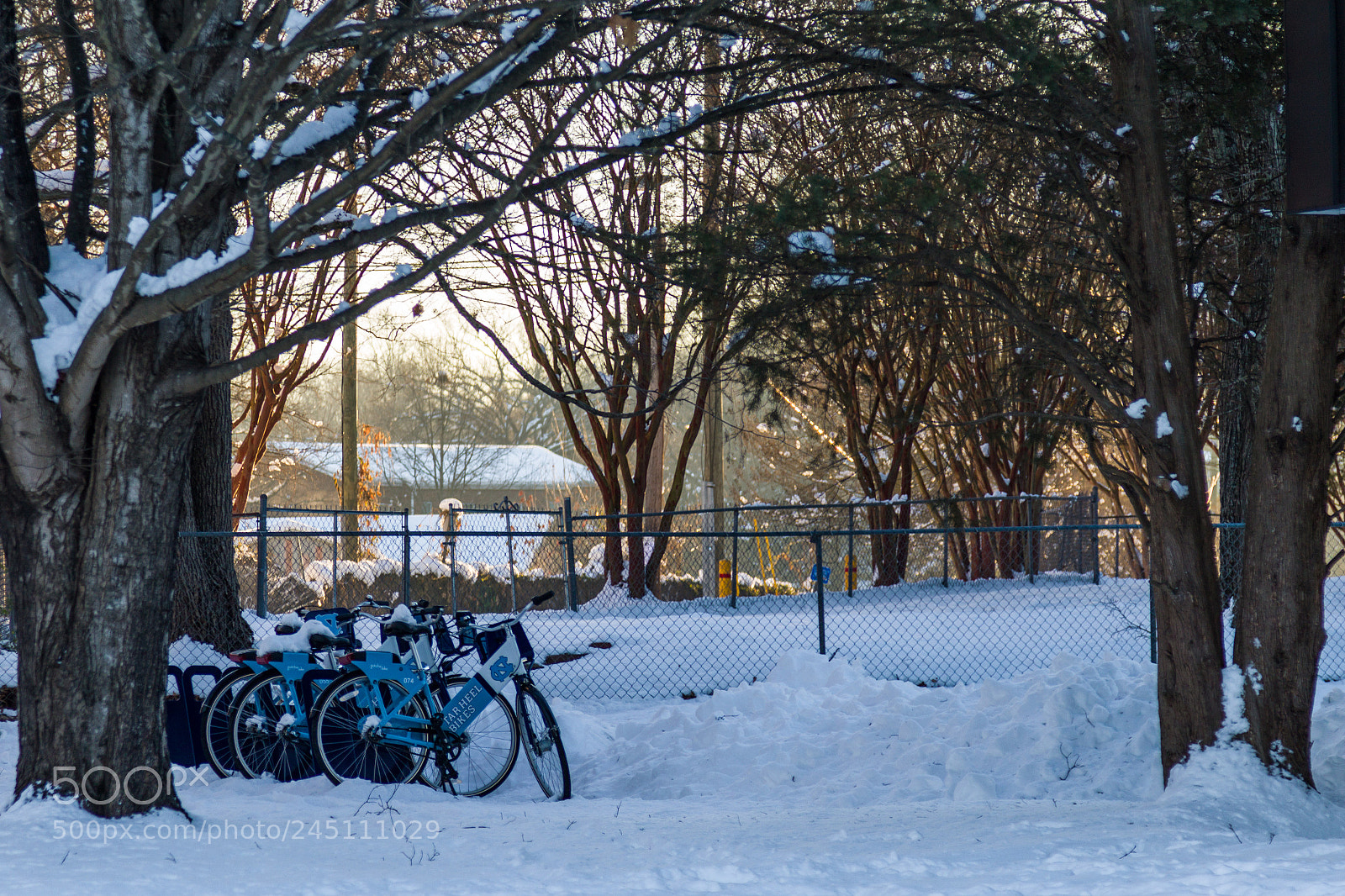 Canon EOS 7D Mark II sample photo. Snow photography