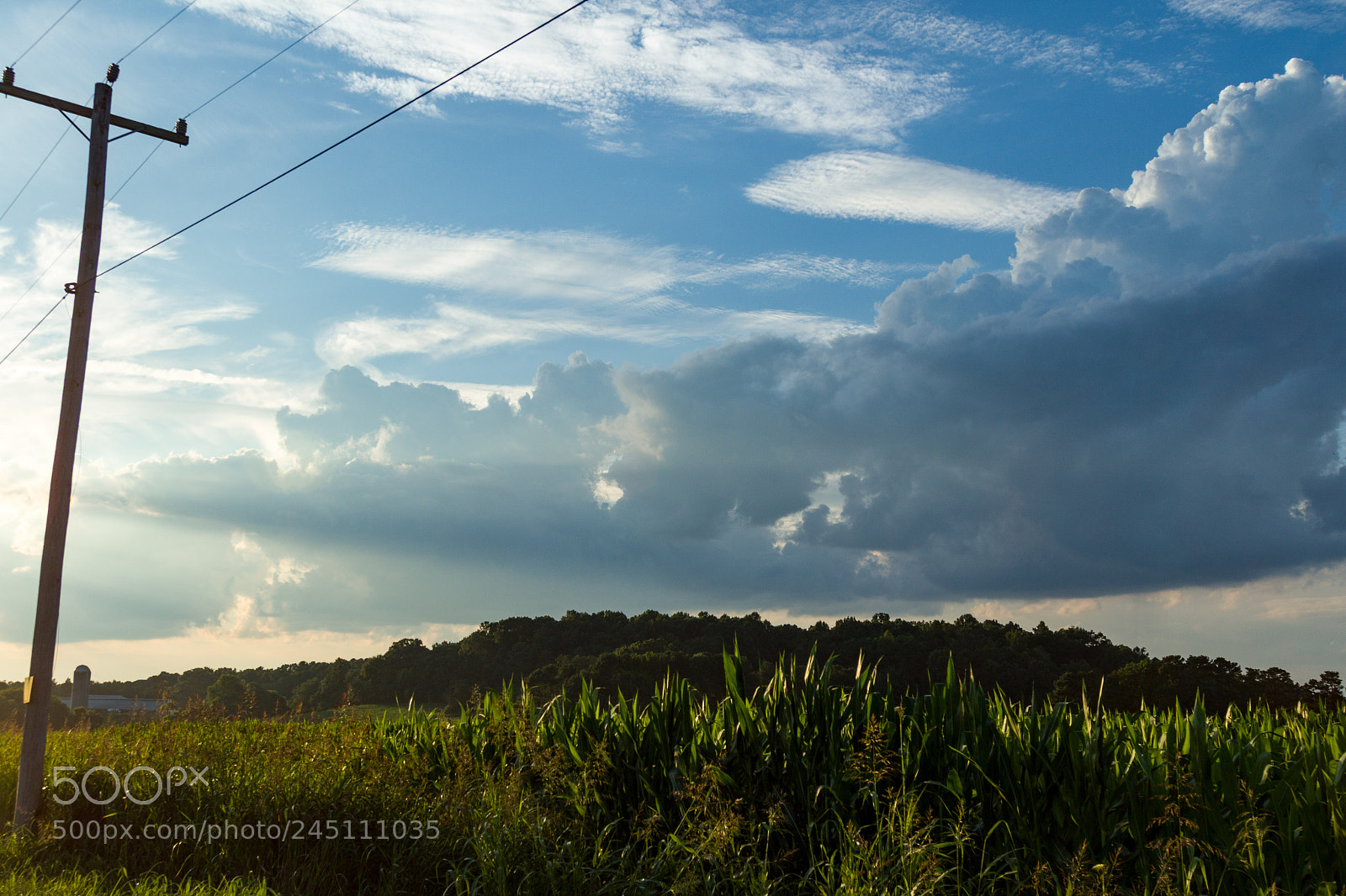 Canon EOS 7D Mark II sample photo. Sunset in summer photography