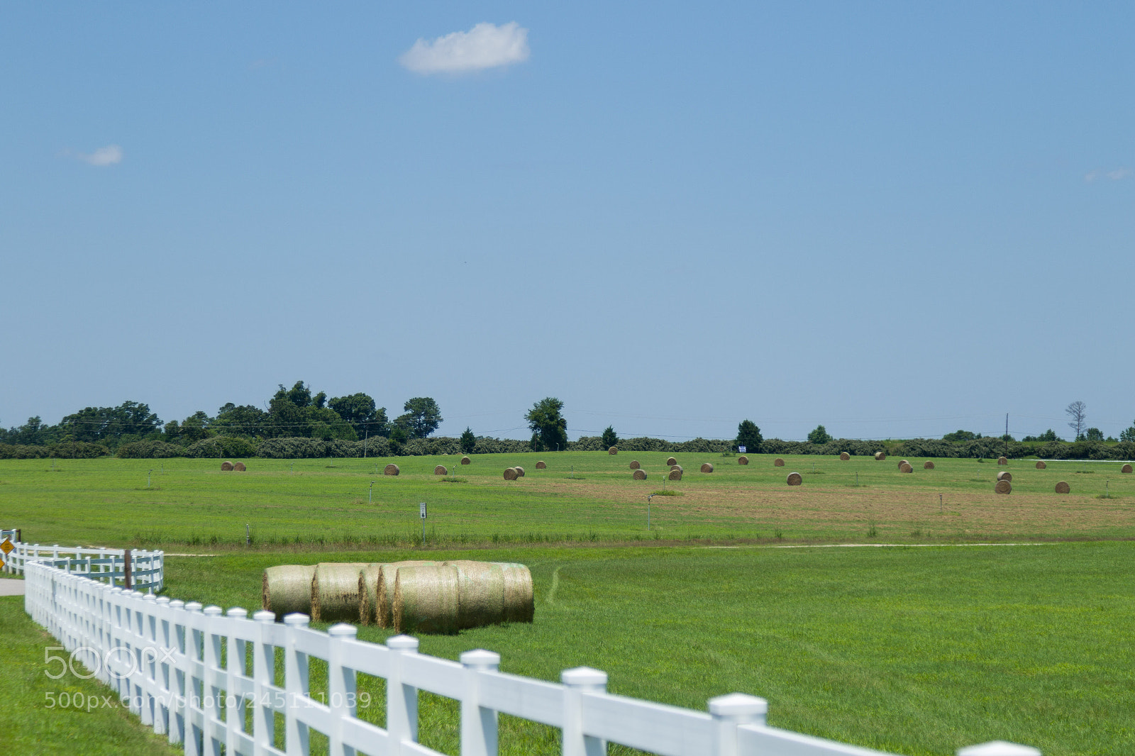 Canon EOS 7D Mark II sample photo. Summer photography