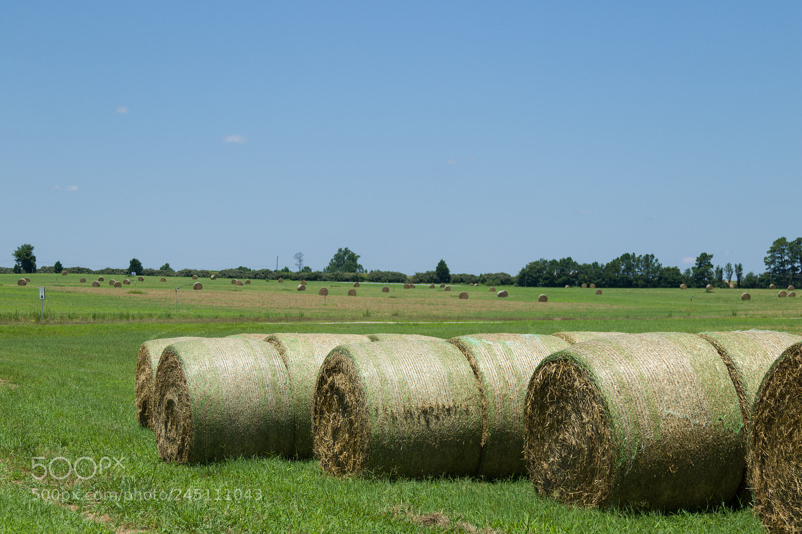 Canon EOS 7D Mark II sample photo. Summer photography