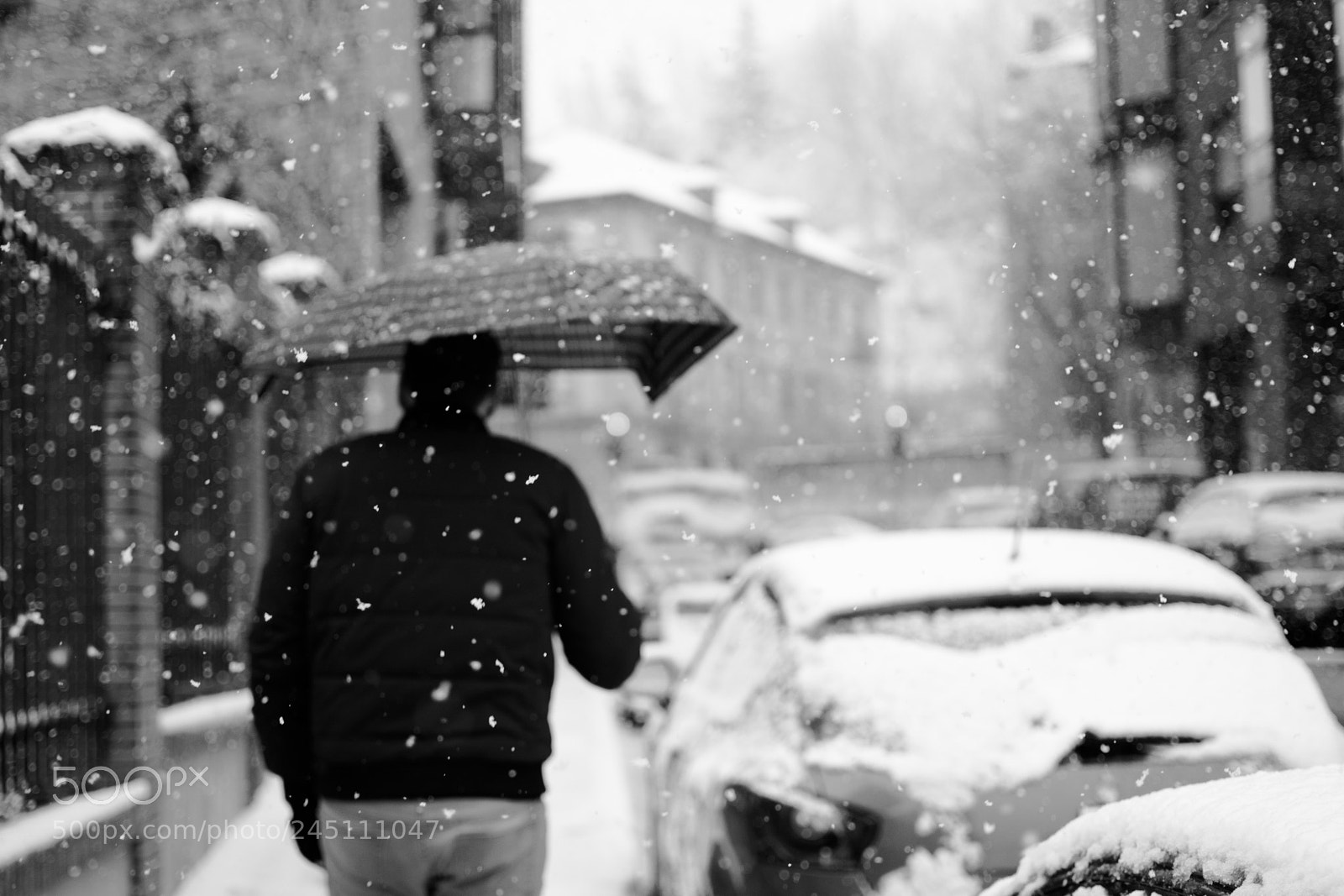 Nikon D5200 sample photo. Snow is so good...in photography