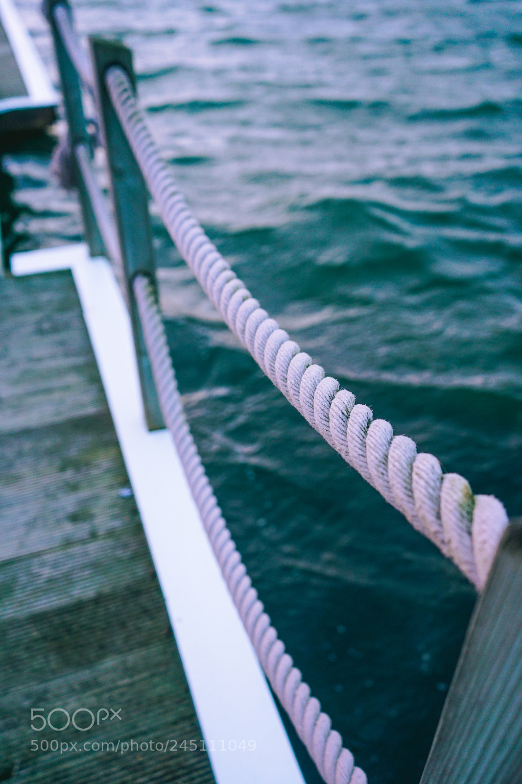 Sony a7 II sample photo. Marine rope photography