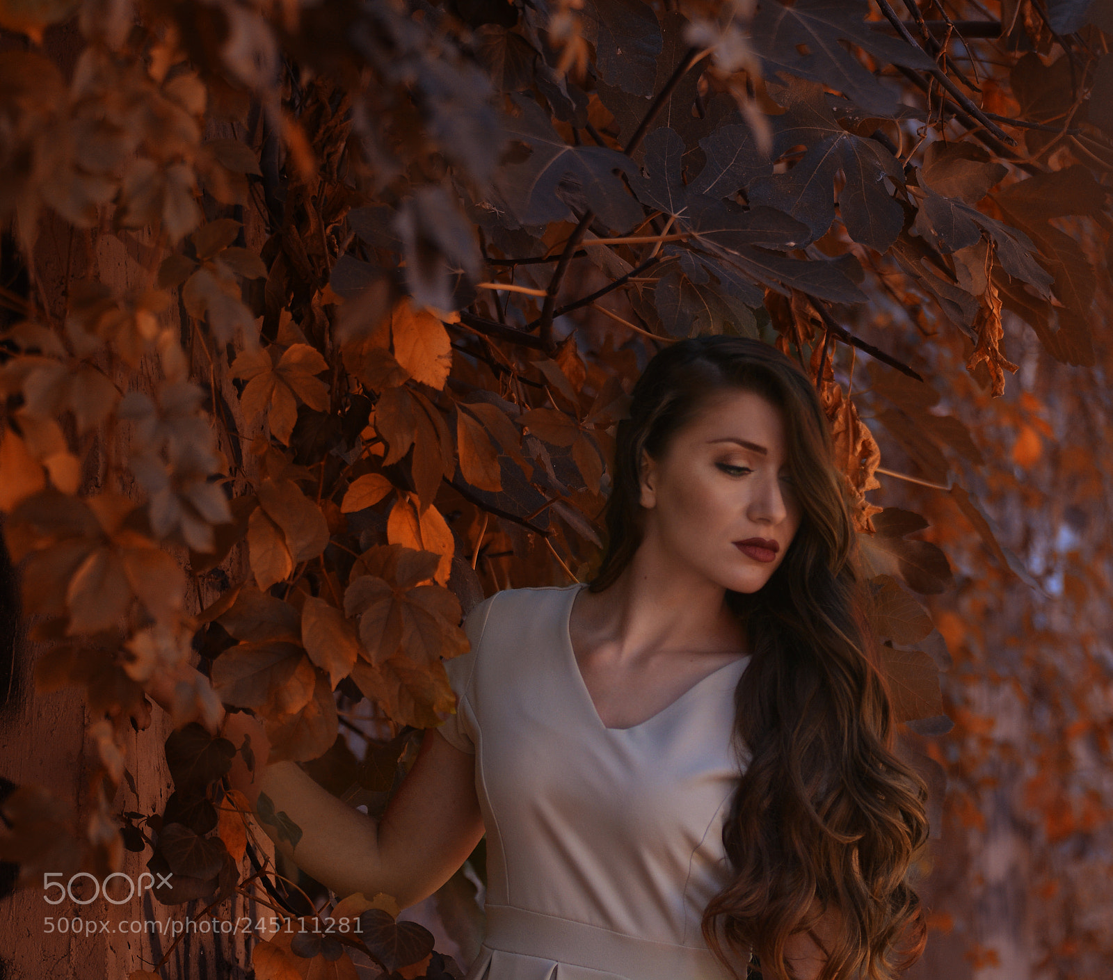 Nikon D7100 sample photo. Red .. photography