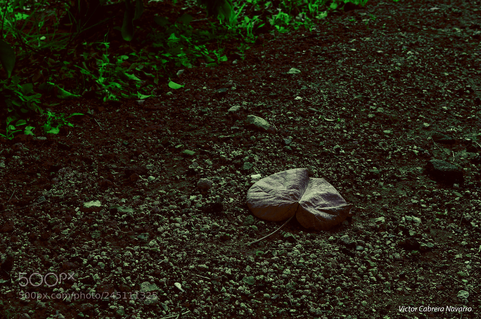 Nikon D3200 sample photo. Señal photography