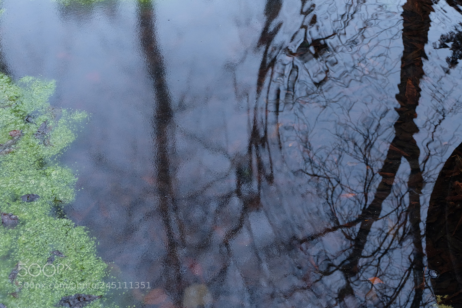 Fujifilm X-T10 sample photo. Water reflections photography