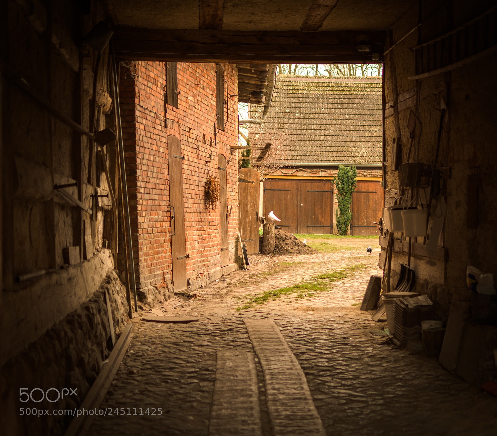Nikon D500 sample photo. Bauernhof photography