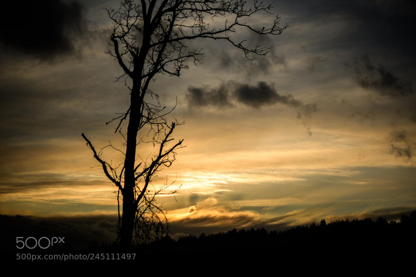 Nikon D500 sample photo. Wolkenstimmung photography