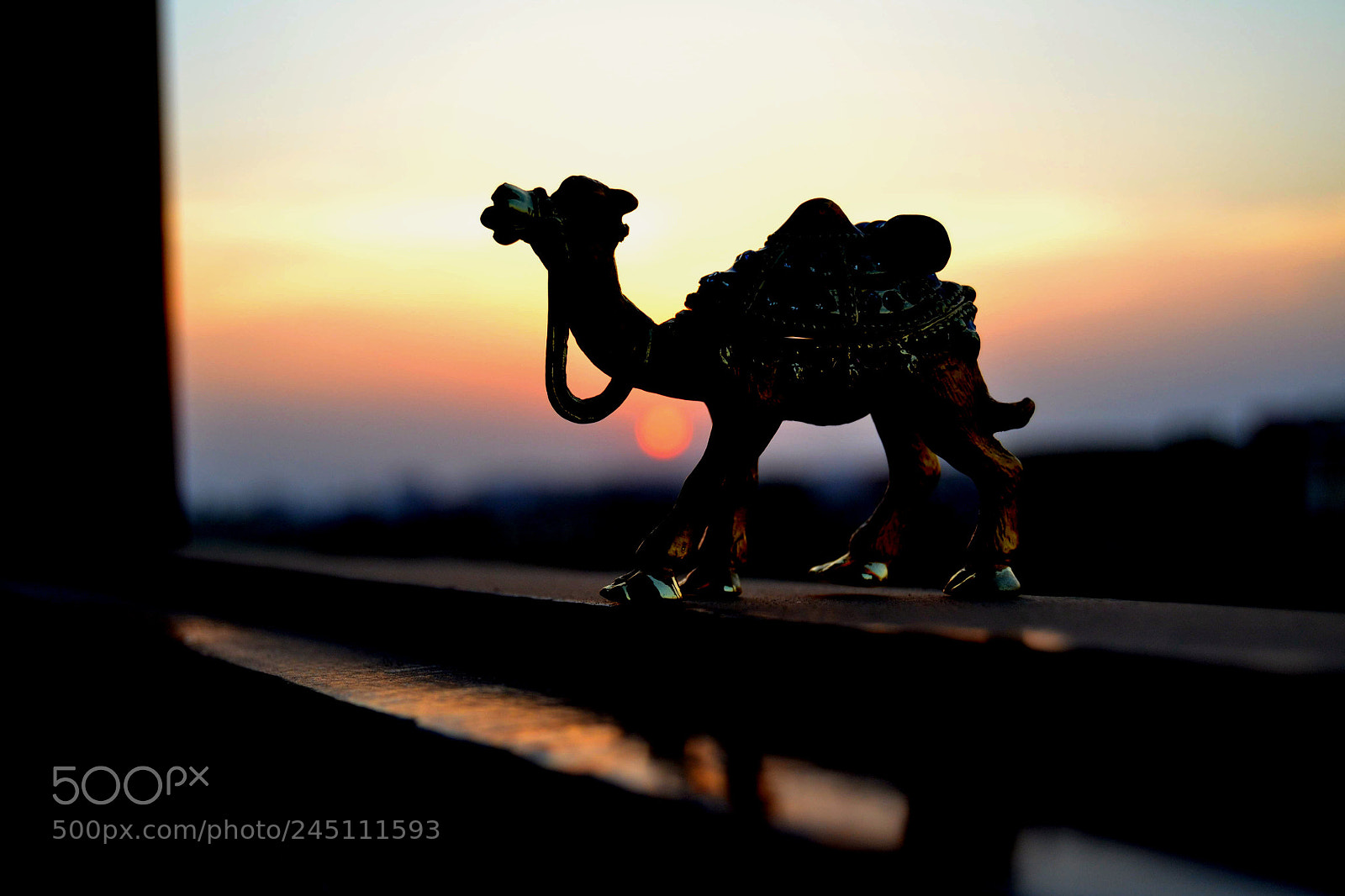 Nikon D3100 sample photo. Untitled photography