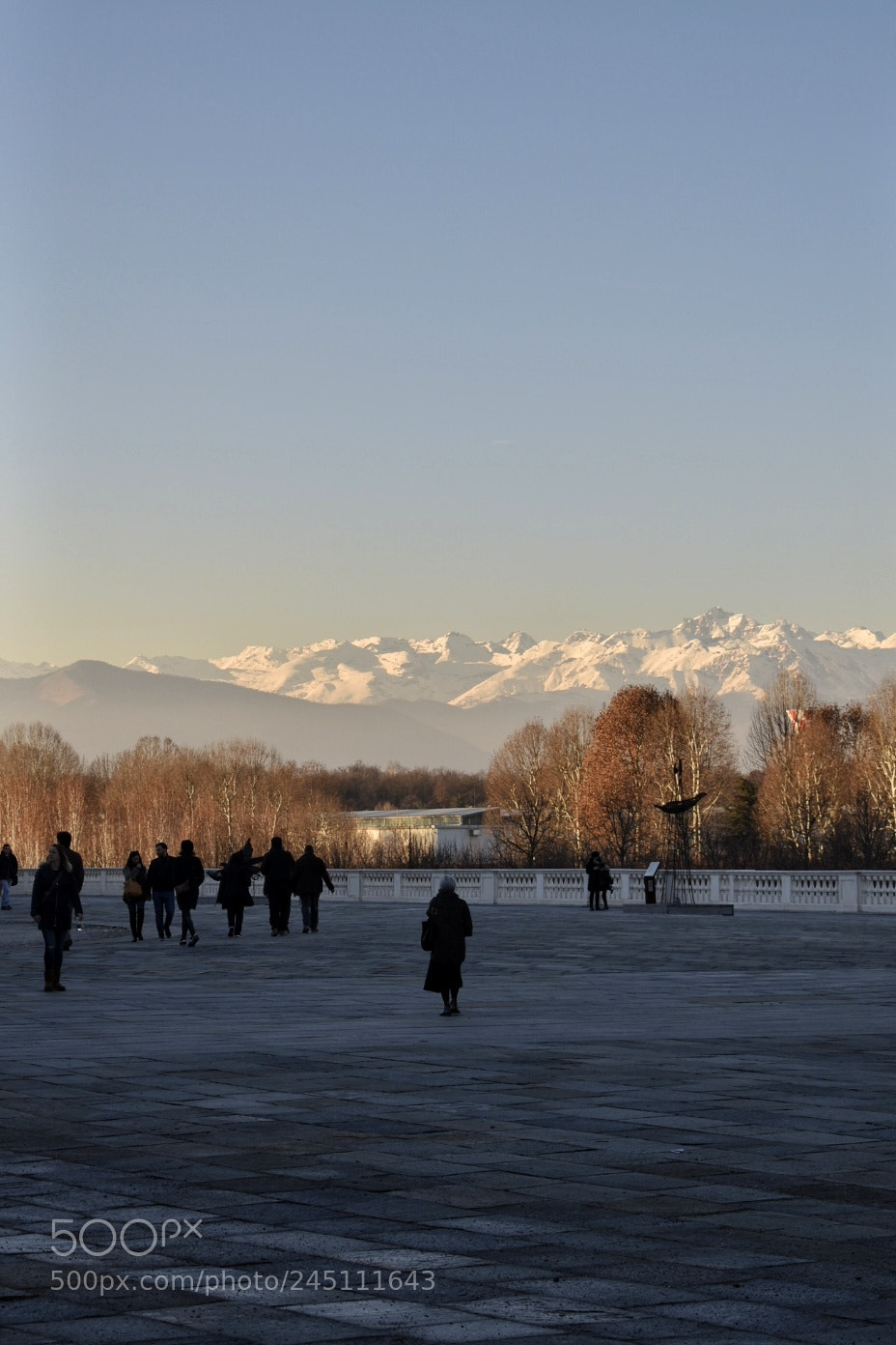 Nikon D5500 sample photo. Venaria reale photography