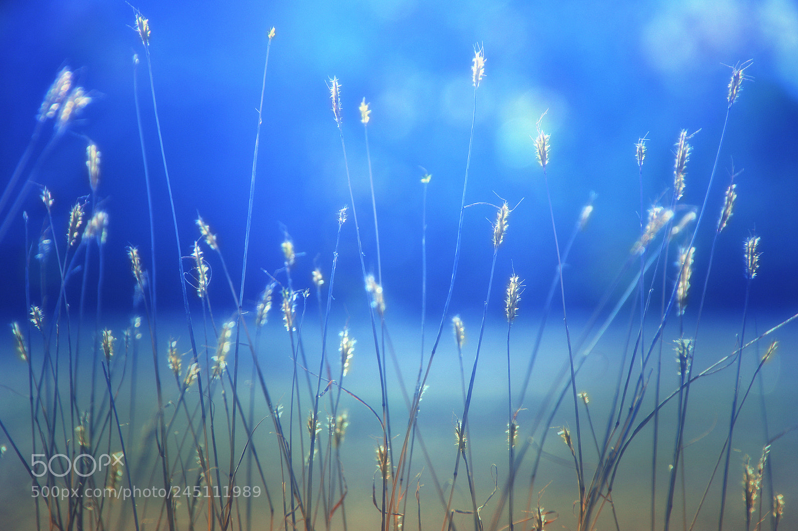 Pentax K-3 II sample photo. Era of oblivion photography
