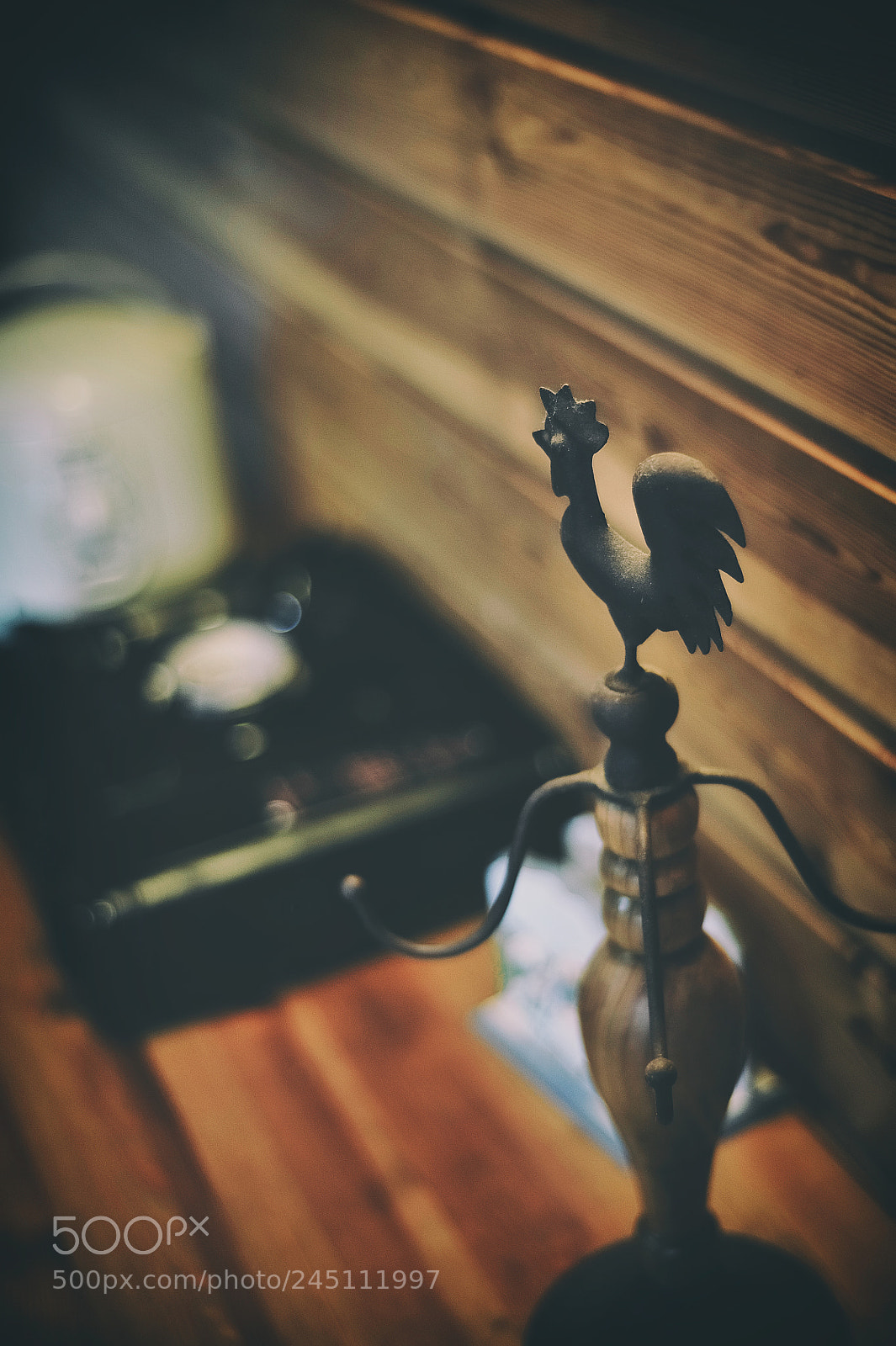 Nikon D3 sample photo. Morning call photography