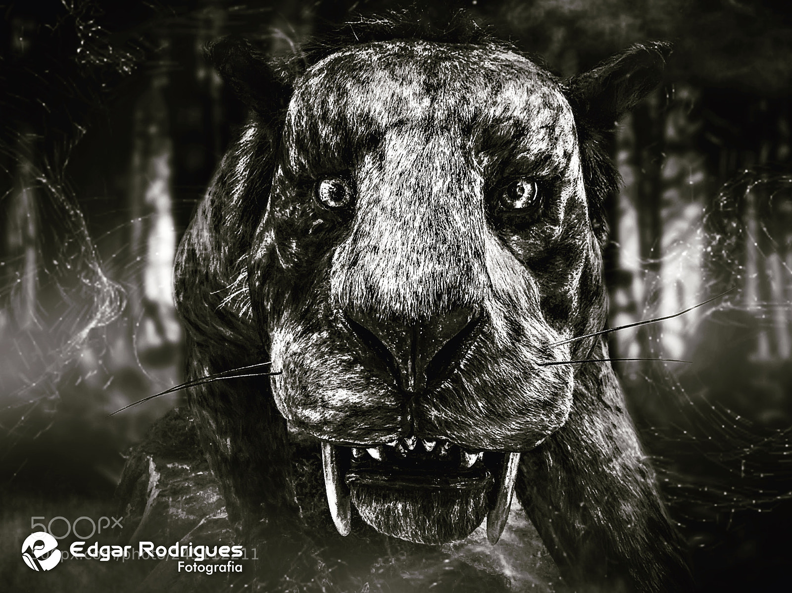 Apple iPhone 5s sample photo. ?tigre dente de sabre photography