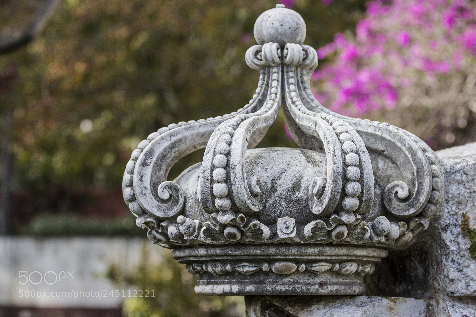 Canon EOS 60D sample photo. King photography