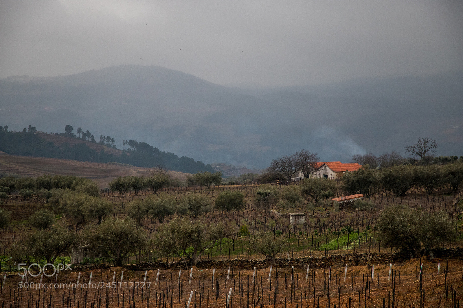 Canon EOS 6D Mark II sample photo. Winter in douro, portugal photography