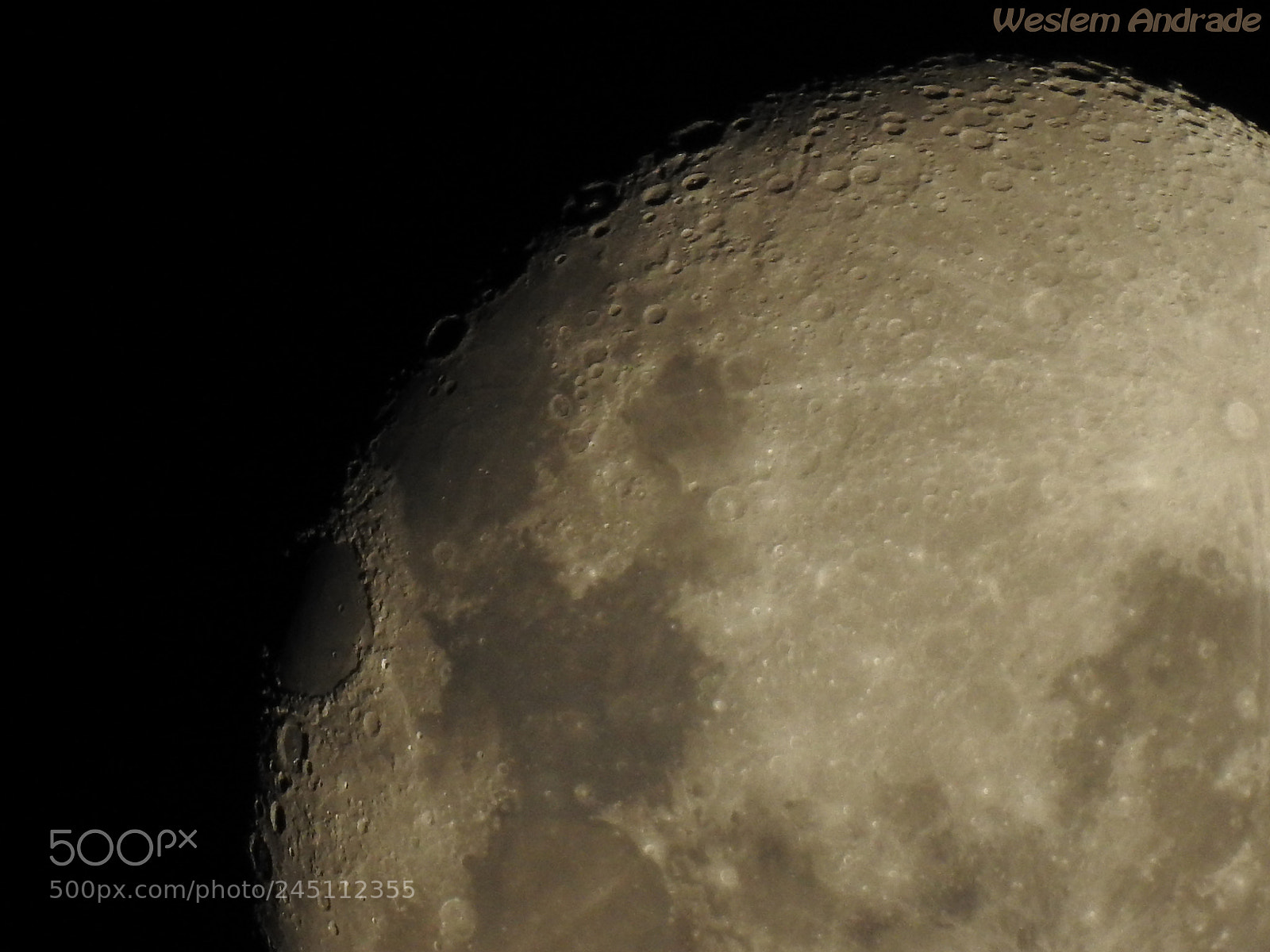 Nikon Coolpix P900 sample photo. Close lua photography