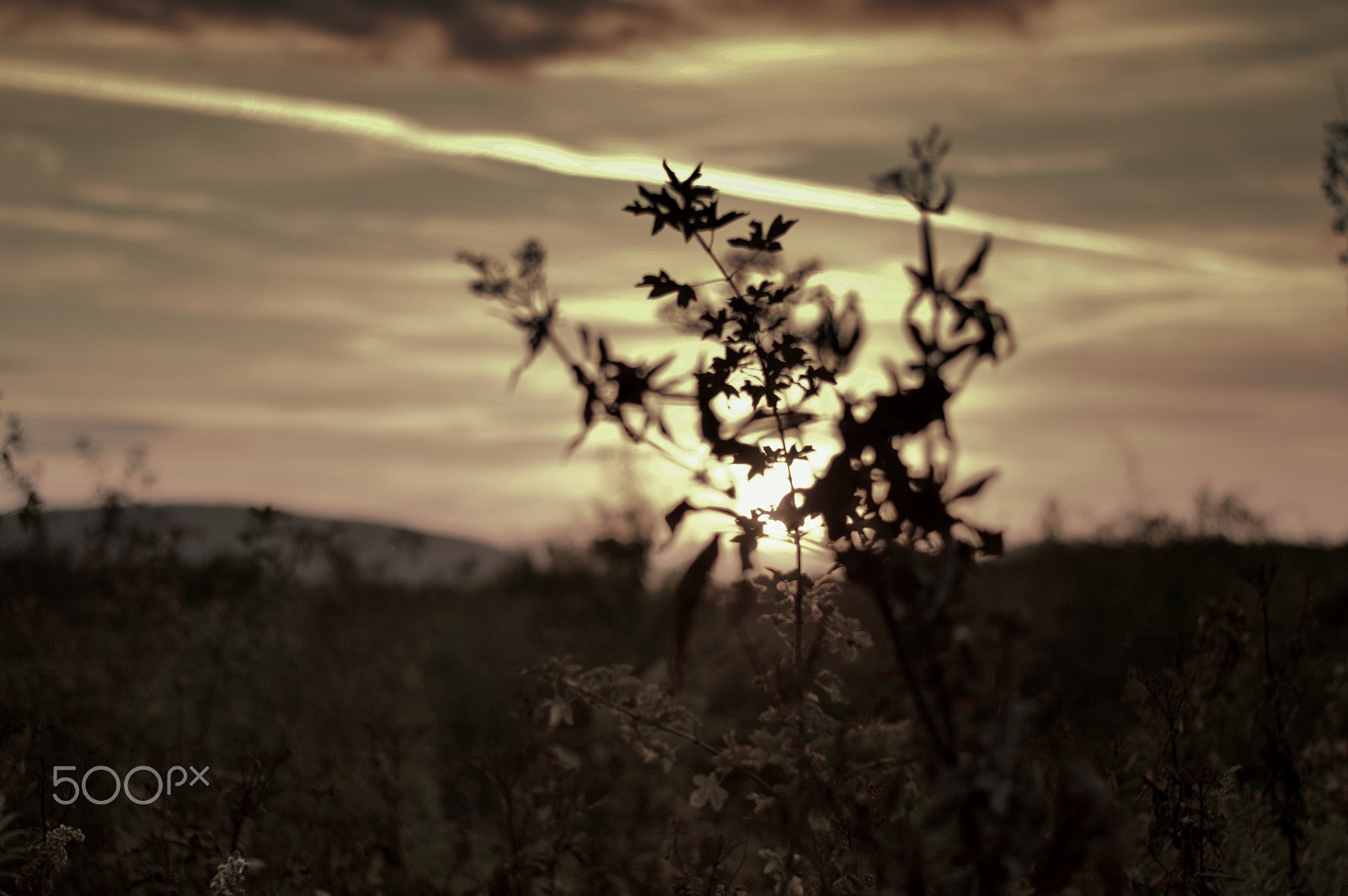 Nikon D3200 + Nikon AF-S Nikkor 50mm F1.8G sample photo. Sunset photography