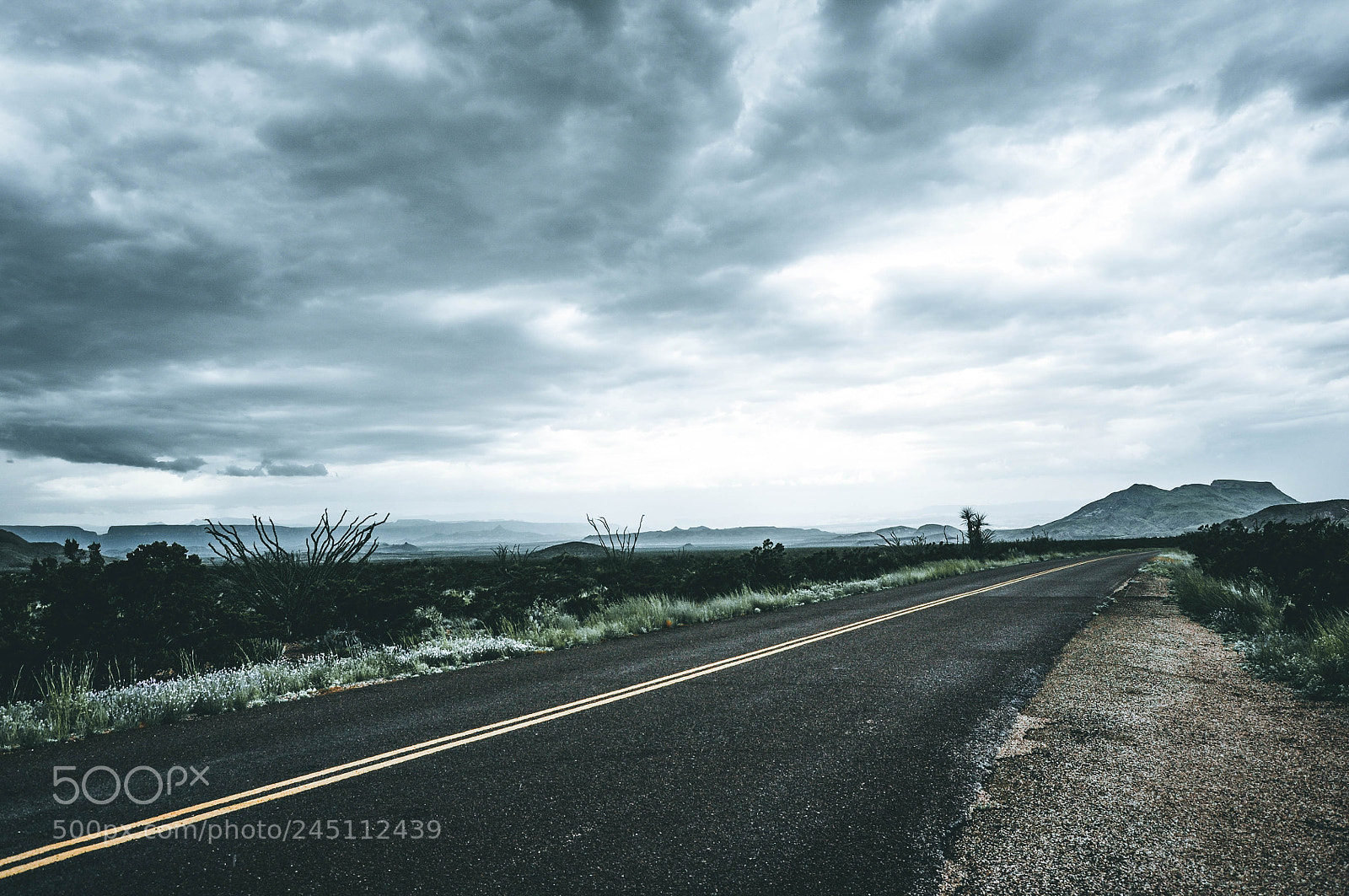 Nikon D90 sample photo. Road to terlingua photography