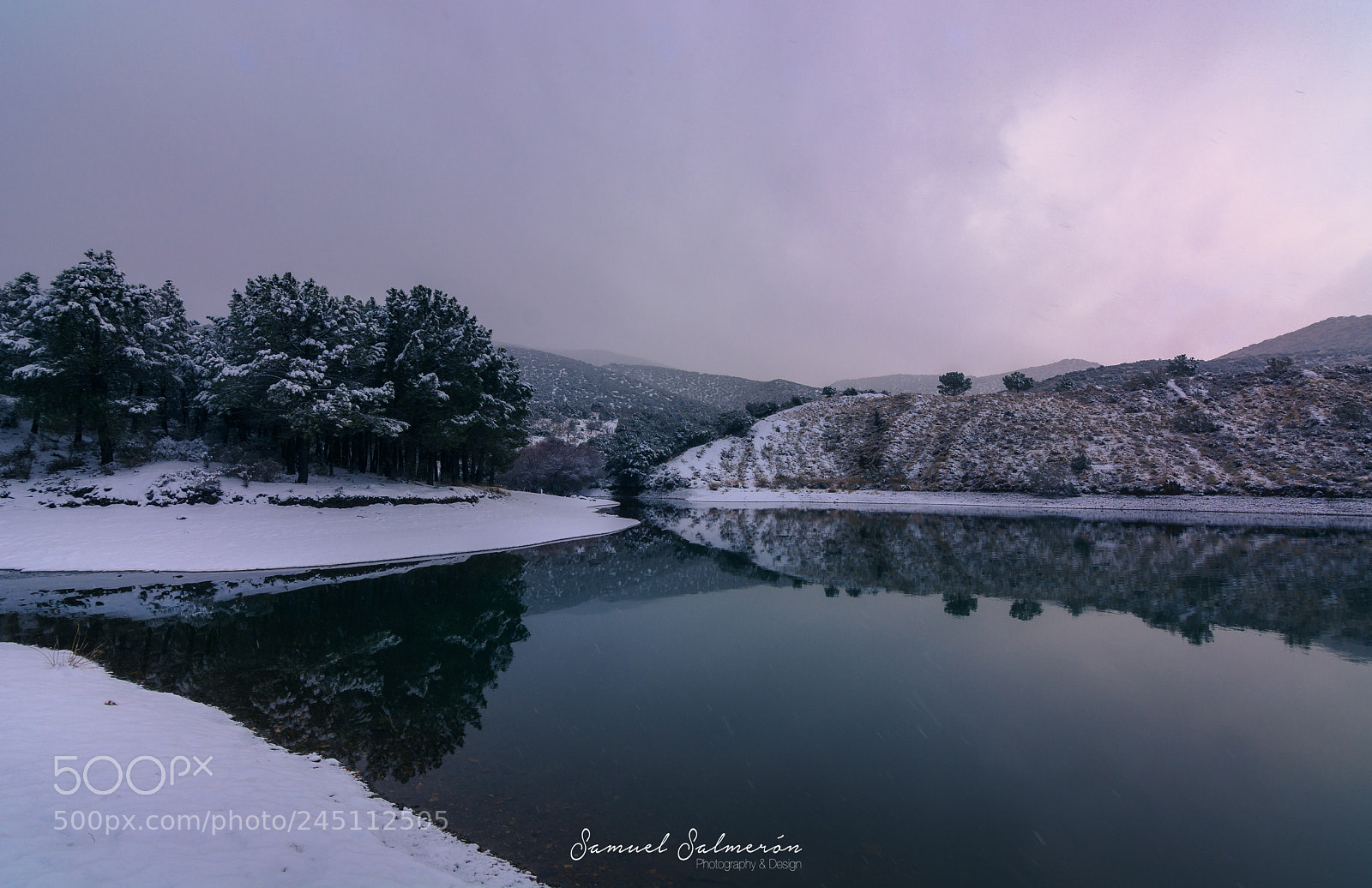 Nikon D7100 sample photo. White reflection photography