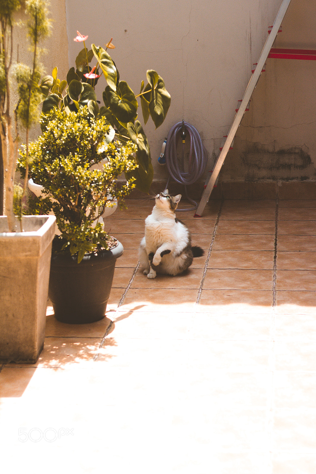 Canon EOS 600D (Rebel EOS T3i / EOS Kiss X5) sample photo. Mari photography