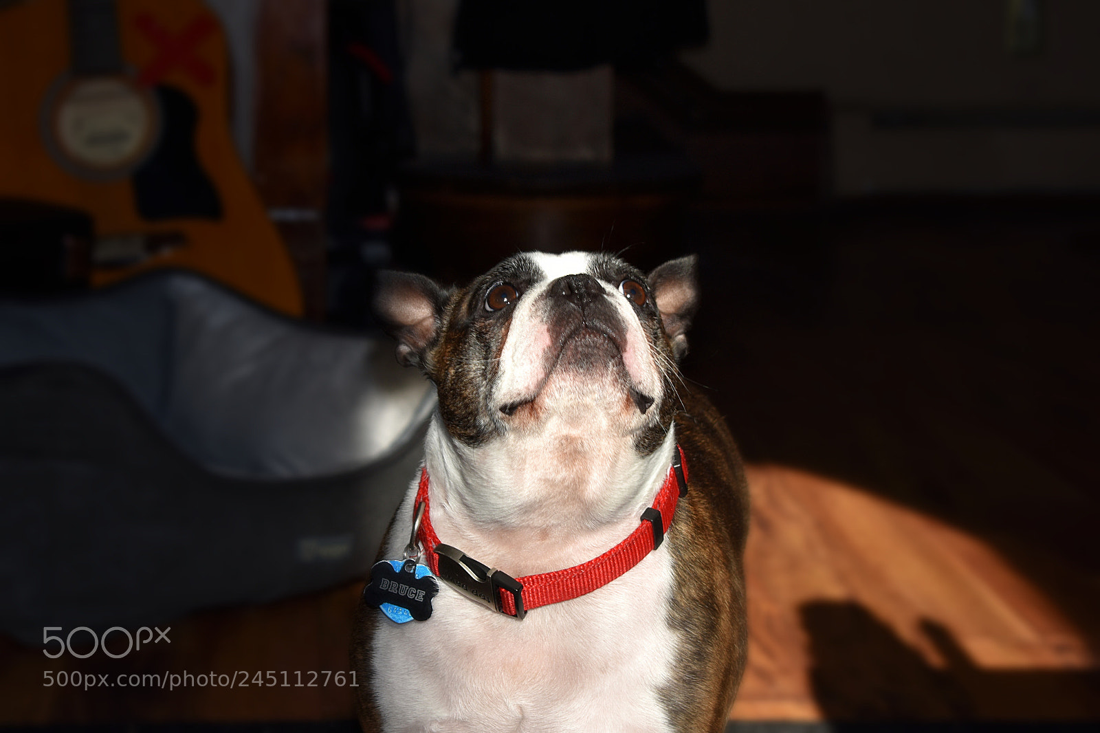 Nikon D3400 sample photo. Untitled photography